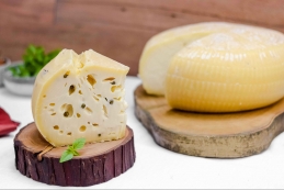 producao de queijos curitiba Mozzarellart