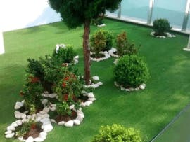 servico de jardinagem curitiba HM Jardinagem - Serviço de Jardinagem em Curitiba