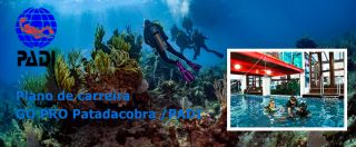 loja de artigos para mergulho curitiba Patadacobra Mergulho em Curitiba