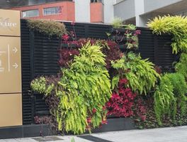 empresa de paisagismo curitiba Acer Haus Jardins Inteligentes