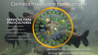 empresa de biotecnologia manaus Amazonia Bioverse