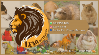 pet shop manaus Leão Pet Shop